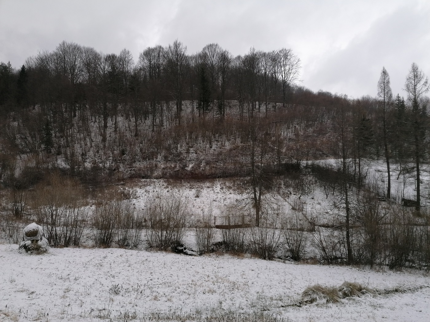 PREDANÉ: Dva pozemky o celkovej rozlohe 3149m2, Terchová, okres Žilina