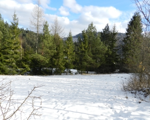PREDAJ - Pozemok Levoča - Fedorkin Jarok