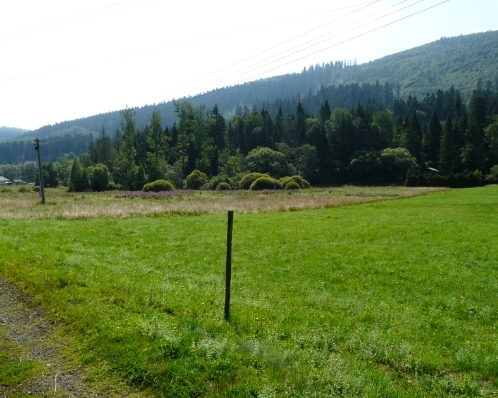 PREDAJ - Pozemok Novoveská Huta, okr. Spišská Nová Ves